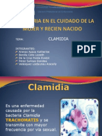 Clamidia Exposicion Power