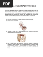 Tecnica de Exudado Faringeo.docxnuevo