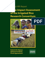 Meta-Impact Assessment of the Irrigated Rice Research Consortium