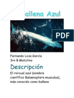 La Ballena Azul