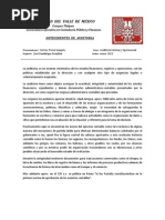 Antecedentes Auditoria