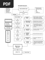 Stroke Pathophysiology