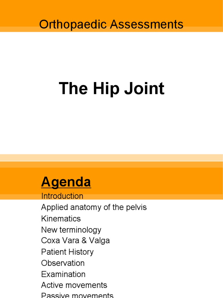 Hip Hip Anatomical Terms Of Motion