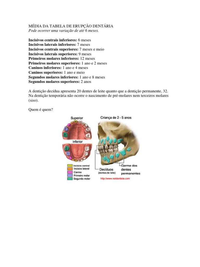 Media Da Tabela De Erupcao Dentaria Pdf Dente Anatomia Dos Primatas