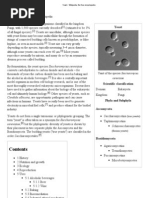 Download Yeast by pippo pappi SN146842042 doc pdf