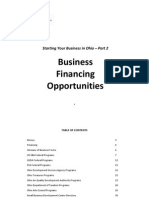 Business Financing 