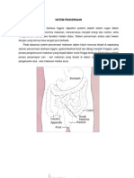 Materi Sistem Pencernaan