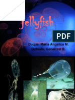 Jellyfish.pptx