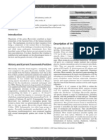 Bacteroides PDF