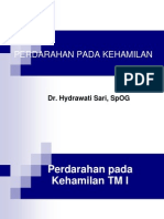 Perdarahan Pada Kehamilan