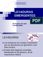Levaduras Emergentes 1194273925264947 4