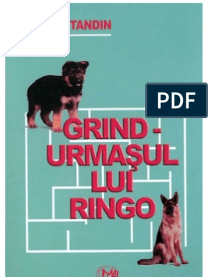 Facet Restate Pinion Traian Tandin-Grind, Urmasul Lui Ringo | PDF