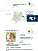 HELICONIAS PACHO Resumen PDF