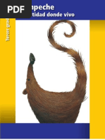 AB CAMP 3 BAJA Diarioeducacion.com