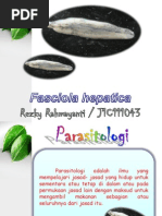 Download Fasciola Hepatica by Kiky Rezky Rahmayanti SN146937104 doc pdf