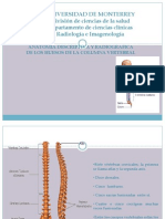 8.3 Anatomía descriptiva y radiológica de la columna.