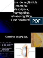 9.1 Anatomía de La Mama Descriptiva, Mamográfica, Por US y RM