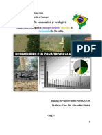 Vajocov Dinu-Narcis_Amprenta Ecologica a Transportului,Energiei Si Turismului in Brazilia