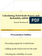 Calculating Total Scale Scores and Reliability SPSS - D.boduszek