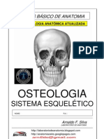 Anatomia Basica Estudos Dirigidos