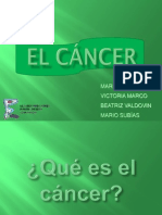 Cancerbmodificada 090308092116 Phpapp01