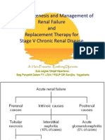 Pathogenesis and Management of Renal Failure and Replacement Therapy For Stage V Chronic Renal Disease