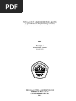 Download Laporan Pengamatan Mikroskopis Pada Jamur by Miandri Sabli Pratama SN146999238 doc pdf