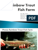Rainbow Trout Fish Farm