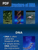 Download DNA Overview by PowerPoints Galore SN14703747 doc pdf