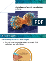 C5 CellGrowth Division