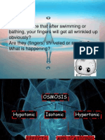 Effect of Osmosis