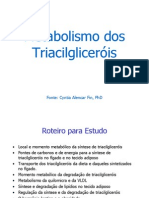 15 Metabolismo Dos Triacilglicerois