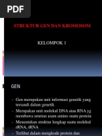Download PPT Struktur Gen Dan Kromosom by Ramdhani SN147083313 doc pdf