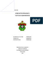 Download Makalah Struktur Gen Dan Kromosom by Ramdhani SN147084215 doc pdf