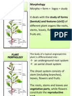 Plant Morphology - Introduce