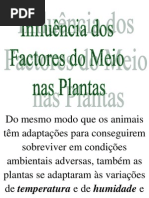14 Factores Do Meio Planta