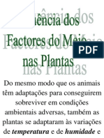 14 Factores Do Meio Planta