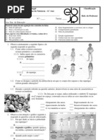 Tes 6 Sist Reprodutor 2008
