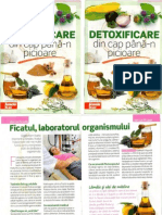 Detoxifier e A