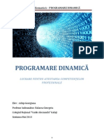 Programare Dinamica Atestat 2013