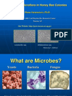 Microbesinbees