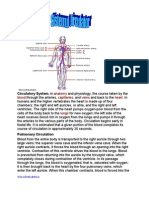 Circulatory System