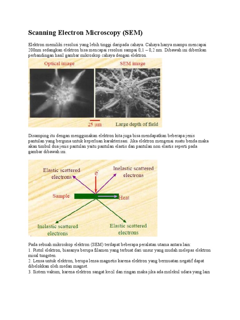 Scanning Electron Micros | PDF