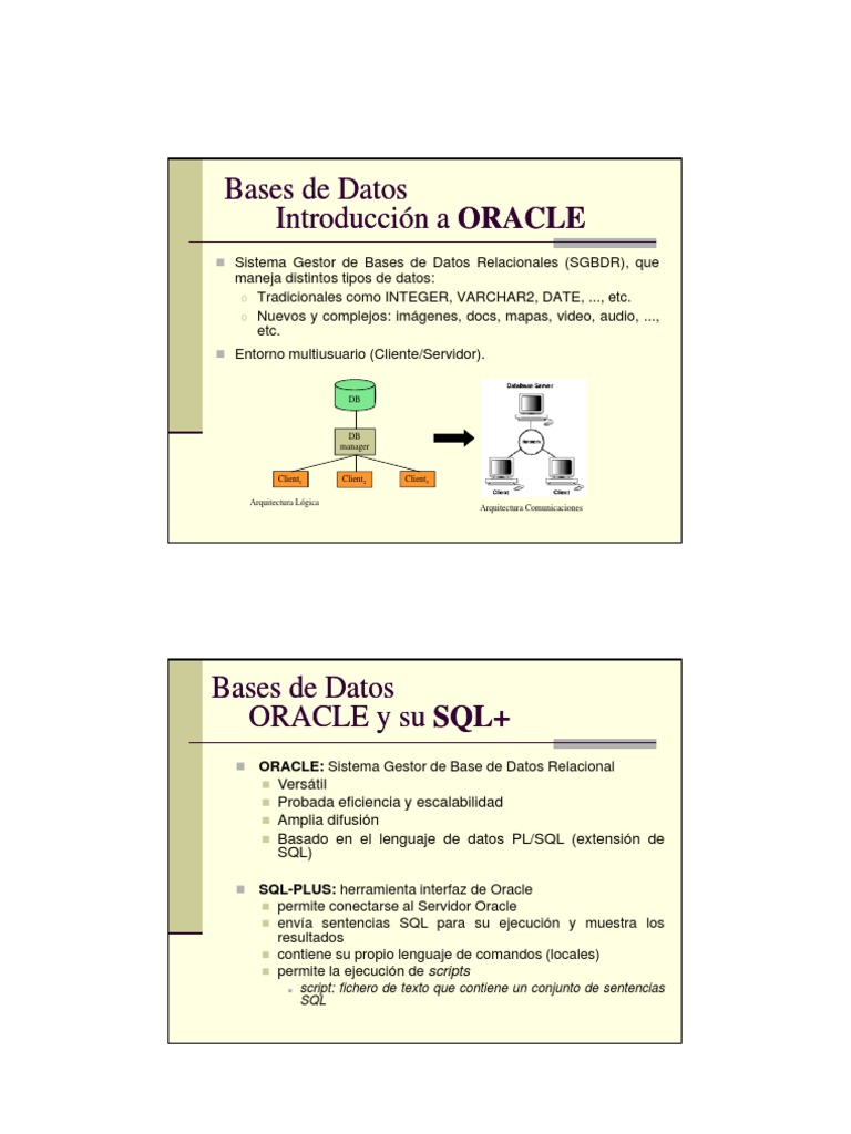 Introducción a Oracle SQL+ y Comandos LDD | PDF | SQL | Oracle Corporation