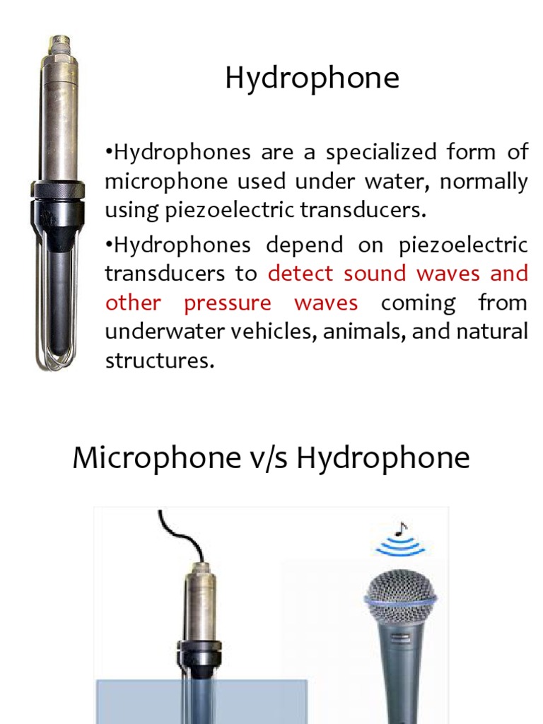 Hydrophone Detect Sound Waves And Other Pressure Waves Pdf