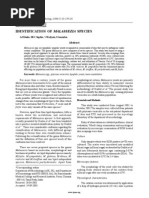 Download IDENTIFICATION OF MALASSEZIA SPECIES by SJ Iraa SN147159643 doc pdf