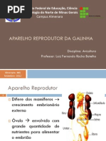 Aula 3 - Avicultura - Aparelho Reprodutor Da Galinha