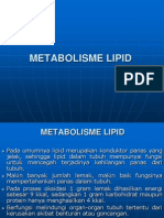 Metabolisme Lipid For Tarbiyah