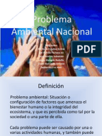 Problema Ambiental Nacional - 2