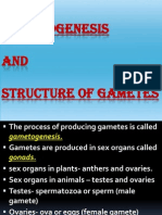 Gametogenesis and Structure of Gametes